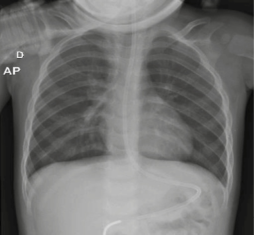 Tela de celular com publicação numa rede social
Descrição gerada automaticamente