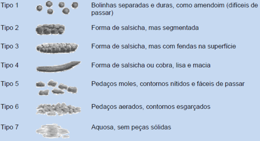Uma imagem contendo Texto

Descrição gerada automaticamente