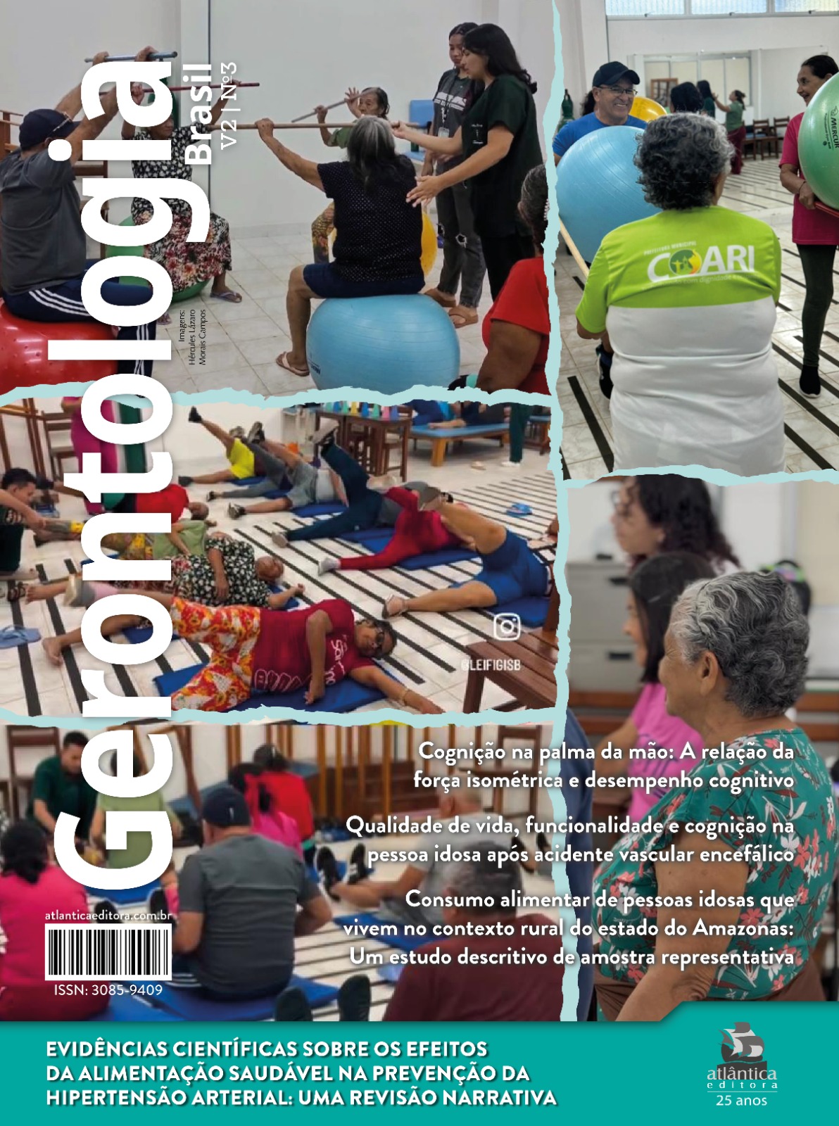 					Visualizar v. 2 n. 3 (2026): Gerontologia Brasil
				